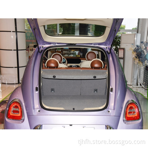 2023 Nuova auto cinese a 5 sedili FWD ORA Ballet Cat 401 km Nuova auto elettrica energetica
